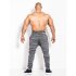 Kevin Levrone Sweatpants 01 LM Tabbis Grey