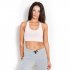 Kevin Levrone Bra 03 LW Lady Powder Pink