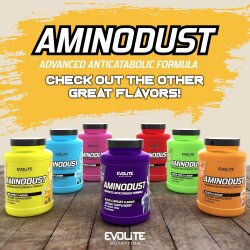 Evolite Nutrition Aminodust 1185g Black Currant