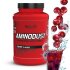 Evolite Nutrition Aminodust 1185g Cherry