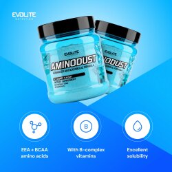 Evolite Nutrition Aminodust 474g Ice Candy