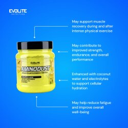 Evolite Nutrition Aminodust 474g Pineapple