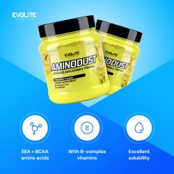 Evolite Nutrition Aminodust 474g Pineapple