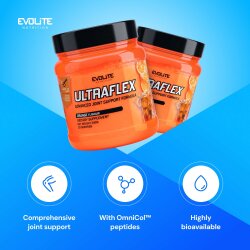 Evolite Nutrition Ultra Flex 390g Orange
