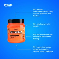 Evolite Nutrition Ultra Flex 390g Orange