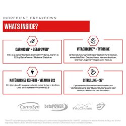 VAST V8 Total Energy 336g Lemon Rush