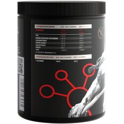 Big Zone L-Glutamin 500g