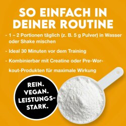 Inlead Nutrition L-Citrullin Malat 500g