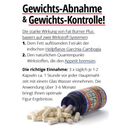 Goldfield Turbo Fatburner Plus 60 Kapseln