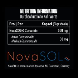 Big Zone NovaSol Curcumin 90 Caps