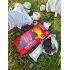 Feel Fit Duo High Protein Coca Cookie 168g