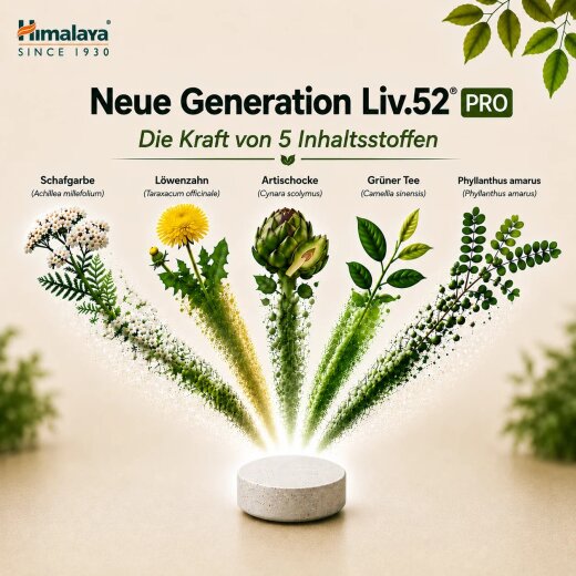 Himalaya Liv.52 DS PRO 60 Tabletten