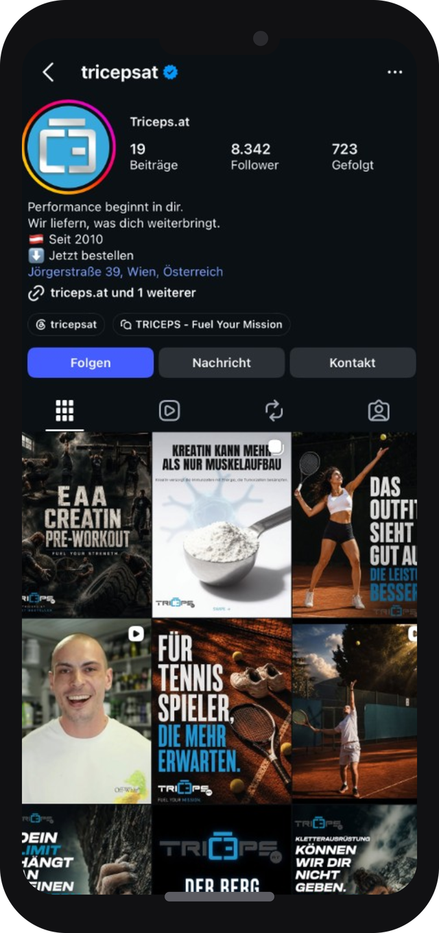 Instagram Profil @tricepsat auf dem iPhone